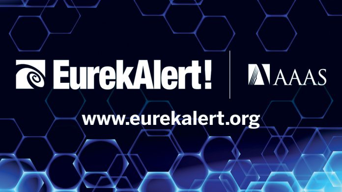   Automobile class society |  EurekAlert!  Science news

