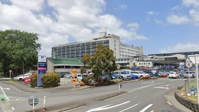   Car thief leaves Whangārei with Covid-19 test |  1 NEWS


