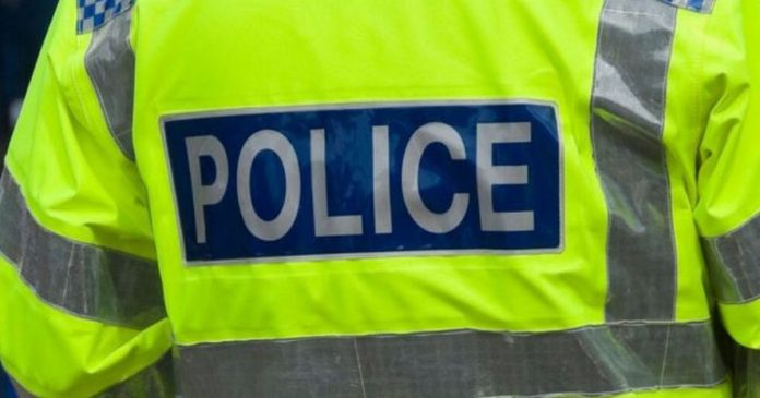 Quick reaction when hunting for stolen cars brings quick results

