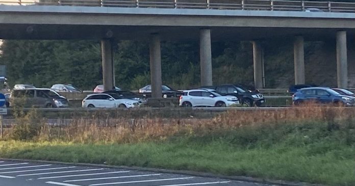 Queues of traffic on the A38 near Deep Lane - file image