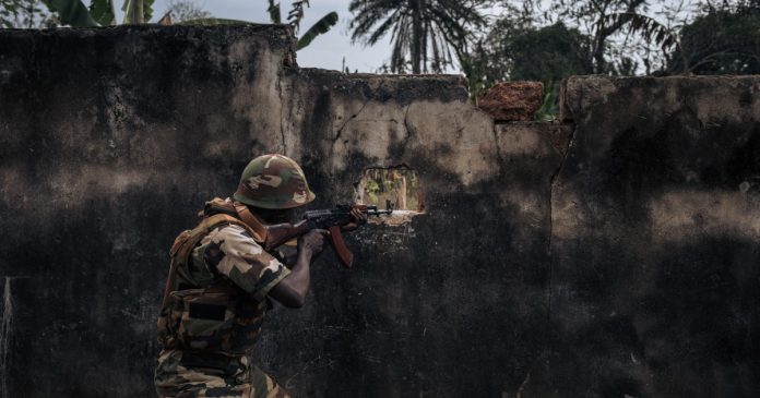   At least 11 dead in clashes between CAR troops and rebels |  news

