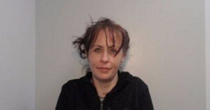 Cocaine addict mother, who slept in a stolen car, was thrown into a tree after a terrible police chase

