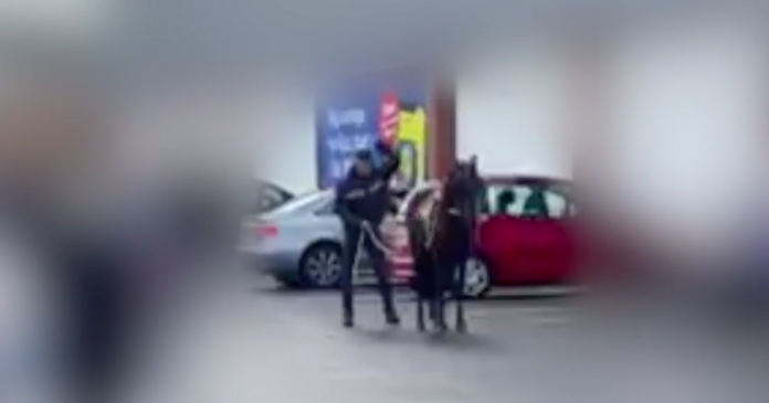 Man filmed beating up ponies in a supermarket parking lot

