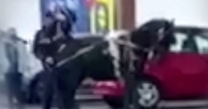 Man caught brutally beating a young pony with a pole in a supermarket parking lot


