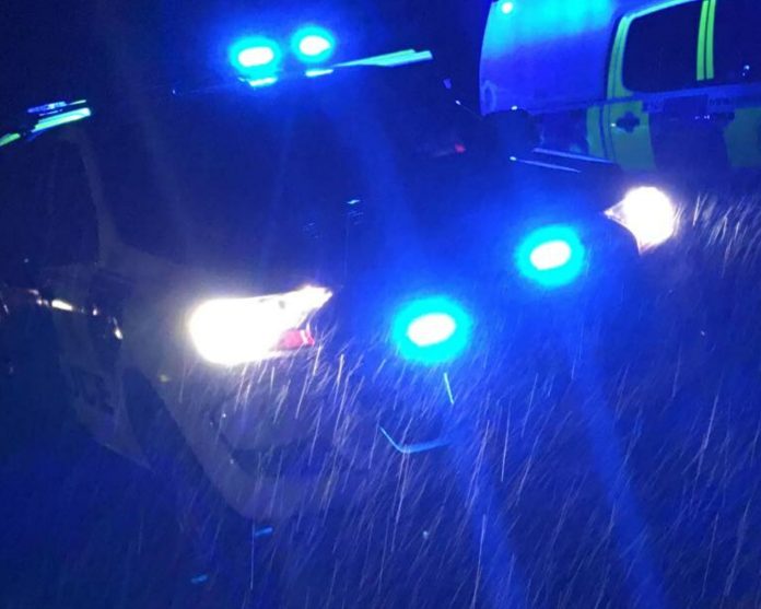 Car rams police vehicle before 'making off' in New Forest
