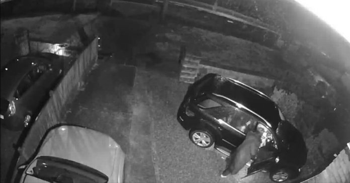 Woman 'in shock' after CCTV captures brazen thief rummaging through her car

