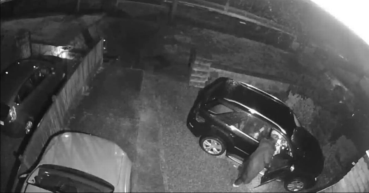 Woman 'in shock' after CCTV captures brazen thief rummaging through her car
